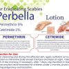 Infographic showing Perbella Lotion ingredients Permethrin 5% and Cetrimide 1% for treating scabies, with hand illustration and usage directions